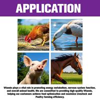 Bubuk Vitamin B5 tingkat umpan untuk unggas dan ternak VB5 suplemen asam Pantothenic sapi sapi babi