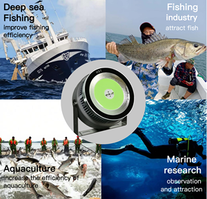 Lampes LED <span class=keywords><strong>de</strong></span> pêche 1200W IP65 étanches, lumineuses, pour attirer les poissons et les calmars, cyan, rouge, blanc, vert, éclairage 80m, personnalisables - Product Image 6