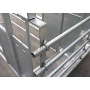 Precio al por mayor duradero Equipo de granja de cerdos de alta calidad Caja de gestación de cerdos - Product Image 4