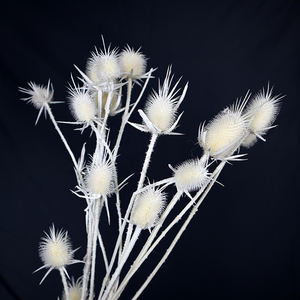 Eryngbras — 15 Branches de couleurs plastique, vente en gros, 15 têtes différentes, couleur blanche et noire - Product Image 1