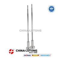 Injecteur de carburant diesel à piston 0 445 110 304, ensemble d'injecteurs Common Rail, soupape de commande F00VC01363 pour CHERY 481A1112011BA