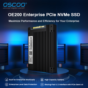 Bán buôn oe200 u.2 NVMe SSD 3.84TB 7.68TB pcie4.0x4 7400 MB/giây đặt hàng số lượng lớn - Product Image 2