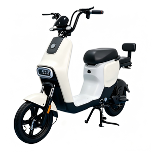 Bicicleta Eléctrica con Llantas Gruesas <span class=keywords><strong>para</strong></span> Adultos, Precio de Fábrica, Batería Integrada de Plomo-Ácido de 48V, Motor sin Escobillas de 500W, Venta al Por Mayor - Product Image 2