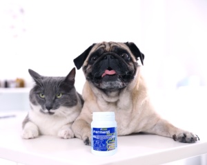 Etiqueta privada Fermenti Flora tabletas ingredientes naturales suplemento para mascotas en polvo sabor a pavo pescado suplementos para el cuidado de la salud - Product Image 2