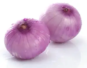 Cipolla rossa fresca indiana con buon prezzo per la cipolla di esportazione con il prezzo a buon mercato per la vendita di verdure fresche biologiche