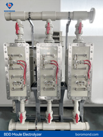 Electrodo Modular BDD Boromond de Alta Concentración para COD, Toxicidad, Refractarios, Equipos Industriales, Tratamiento de Aguas Residuales, 5000L/Hora