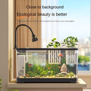 Premium Transparent Goldfish Tank Bureau Écologique <span class=keywords><strong>Aquarium</strong></span> Creative Salon Paysage Durable Petit Moyen Fish Tank - Product Image 3