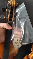 Factory Price Student Violin Full Size Entrance Level Beginner Violin Musical Instrument Violin