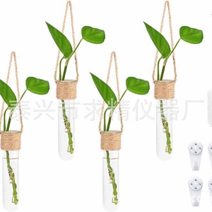 Seeking Excellence Hydroponic Test Tubes 4Pc Set Hanging Glass Vase Wall Mounted Plant Container Cylinder Shape - Product Image 2