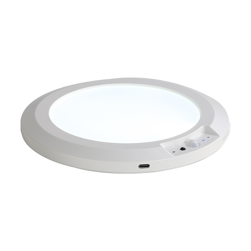 Human Body Induction LED Ceiling Lamp Three-color Dimming Remote Control CE Certified Minimalist Style for Stairwell Balcony