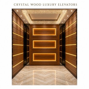 Ascensores de Pasajeros de Acero Inoxidable de Diseño Moderno y Alta Calidad para Uso Residencial, en Hoteles y Hogares, con Tracción sin Engranajes y Aire Acondicionado - Product Image 1