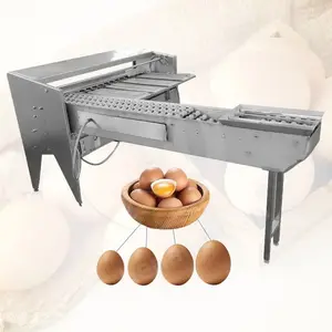 Trieuse commerciale automatique d'oeufs de haute précision petite niveleuse d'oeufs avec la machine de classement d'oeufs de poussoir d'accumulateur