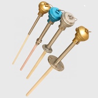 High Temperature 1600C Ceramic Probe Thermocouple Type S B R Type Platinum Rhodium Thermocouple for Furnace Use