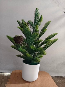 Planta Artificial <span class=keywords><strong>de</strong></span> <span class=keywords><strong>Cedro</strong></span> en Maceta, Bonsái Realista <span class=keywords><strong>de</strong></span> Hoja Perenne para Decoración <span class=keywords><strong>de</strong></span> Interiores <span class=keywords><strong>de</strong></span> Hogar u Oficina - Product Image 5