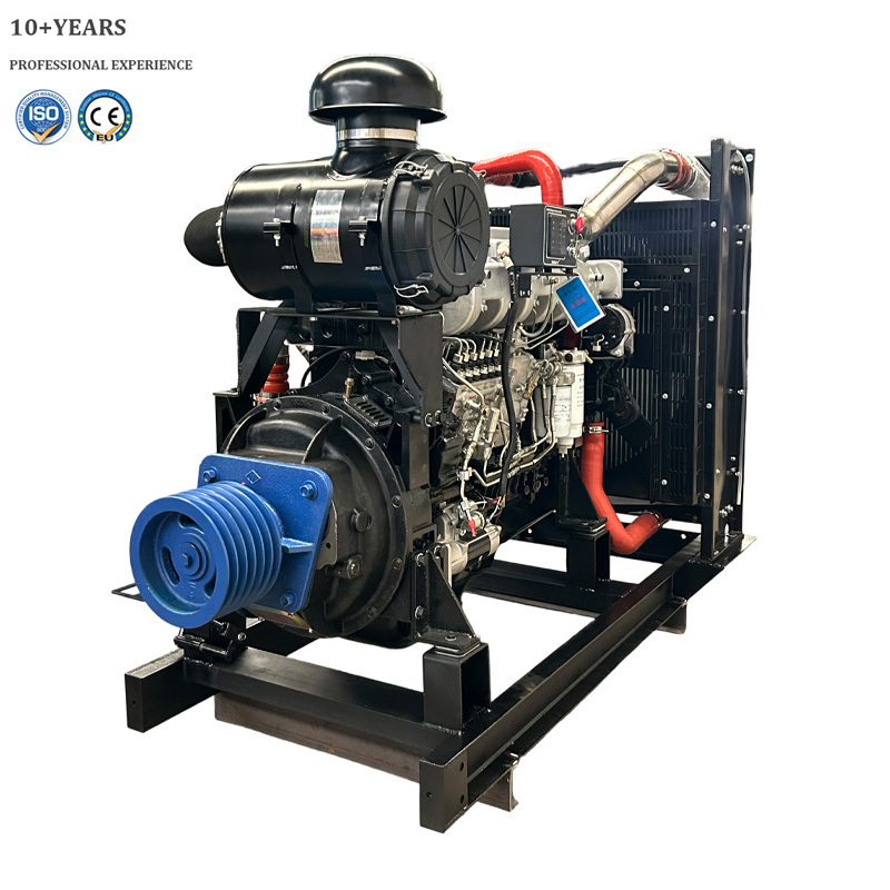 Large Diesel Electric Start Sand Pumping