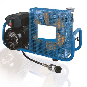 Compresor de aire para buceo, máquina de aire respirable de alta presión, tipo gasolina, CE, 200 bar, 2000