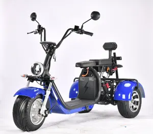 アモト3輪電動スクータートライクゴルフラックゴルフコース電動バイク2000w40ah citycoco