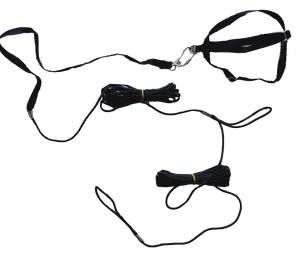 Hewan Peliharaan Burung Terbang Tali 8M Panjang Burung Beo Harness - Product Image 4