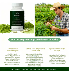 OEM Label pribadi kapsul <span class=keywords><strong>Moringa</strong></span> ORGANIK daun <span class=keywords><strong>Moringa</strong></span> murni suplemen ekstrak kapsul <span class=keywords><strong>Moringa</strong></span> organik - Product Image 3