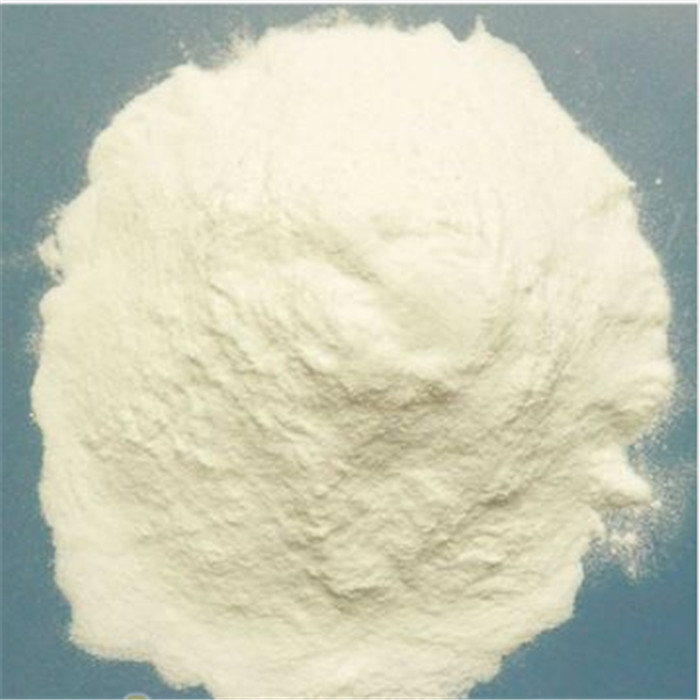 Automatic Modified Starch Food Extruder Stainless Steel