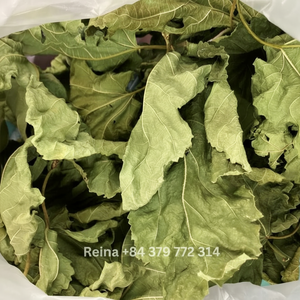 ชาหม่อนสมุนไพรที่อุดมไปด้วยสารต้านอนุมูลอิสระและเหมาะสำหรับการลดน้ำหนักจำนวนมากจากเวียดนาม - Product Image 1