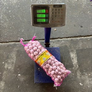 Nouvelle Saison Ail Blanc Frais du Shandong en Sac <span class=keywords><strong>de</strong></span> 24 kg - Product Image 2