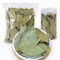 Feuilles de Laurier Séchées Entières Laurus Nobilis Épice Naturelle pour la Cuisine Vente en Gros Qualité Alimentaire