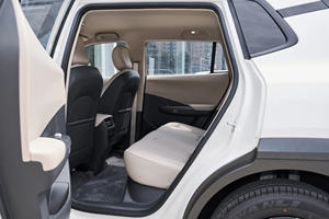 Vehículos Automáticos de Alta Velocidad con Volante a la Izquierda, Dongfeng Nammi Nano 06 EV, SUV <span class=keywords><strong>Eléctrico</strong></span>, Autos Usados y Nuevos en Venta - Product Image 6