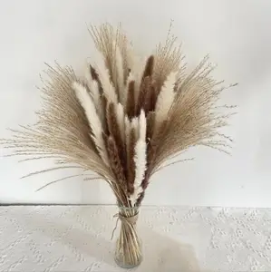 Wholesale Dried Reed Small Pampas Reed Set Decoration Natural Fluffy Dry Pampas Grass