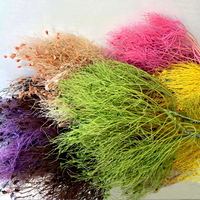 Bunga Kering Awet Terlaris Dream Grass 50-60cm Tahan Lama untuk Dekorasi Rumah dan Pernikahan