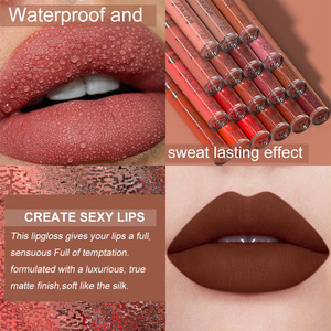 18-Màu Lâu Dài Giữ Ẩm Nhung Matte Lip Gloss Không Thấm Nước Không Dính Son Môi Khoáng Tùy Chỉnh Ghi Nhãn - Product Image 2