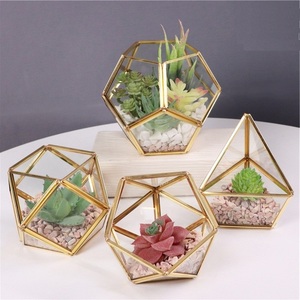 Terrario Geométrico de Vidrio Estilo Vintage Dorado Irregular para Plantas Suculentas de Mesa - Product Image 1