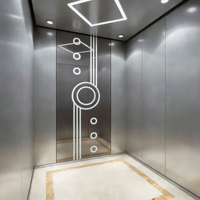 Ascensore per Passeggeri in Acciaio Inossidabile dal Design Moderno, Elegante e Sicuro, Facile da Usare, Garanzia di 1 Anno