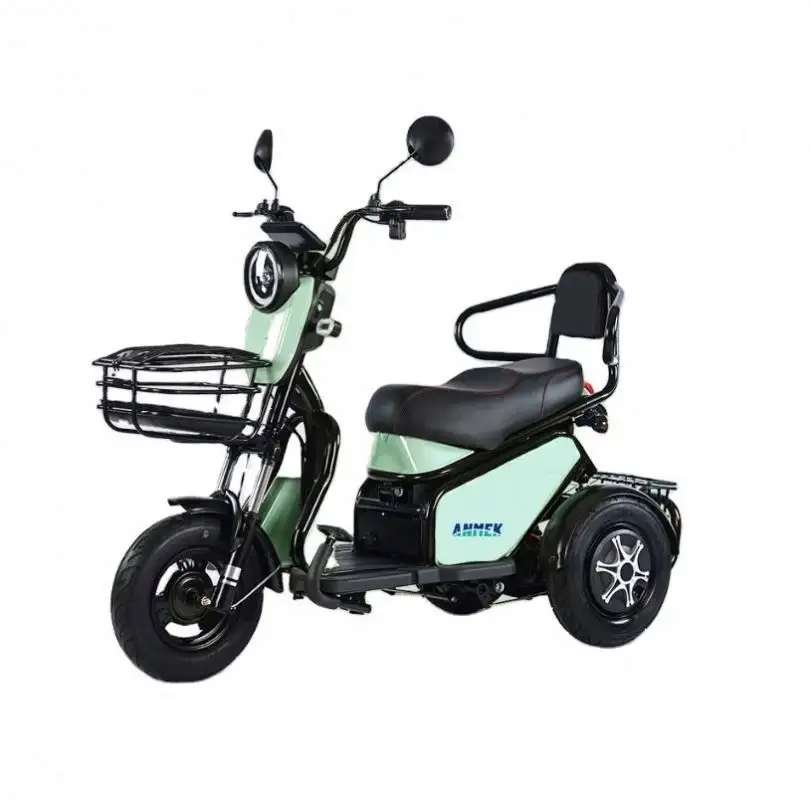 Tricycle Electrique Baby Electric Engine Cargo Rear Carrier Tyre 375-12 Gasoline Car Verified Foldable Firmes Ss De 3 Tricycles