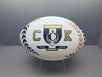 Logo personnalisé, ballon de football américain de haute qualité, taille 9, 7, 6, 3, prix bas, matériau en cuir, ballon de football pour jeunes