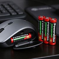 Piles zinc-carbone AAA 1,5 V de haute qualité, vente en gros, fournisseur d'usine chinoise, pour jouets et outils électriques - Powershiba