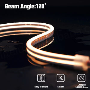 Bande LED néon flexible personnalisée à pliage latéral, couleur unique, 1220 0612 0408 Ra90 Ip67 Dc24V, bande lumineuse LED néon - Product Image 4