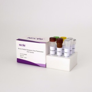 LSDV PCR <strong>Kit</strong> for Cattle - TaqMan Probe Real-Time Fluorescent Detection 50T/Box - Product Image 4