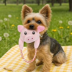 Squeaky Velvet Rope Plush Modern Chew Pet Dog Toy Solid Pattern Not Water Resistant - Product Image 3