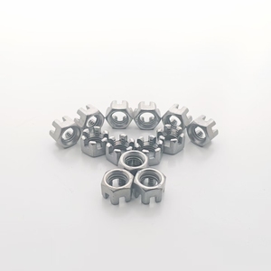 Fastener nhà máy rãnh <span class=keywords><strong>Nut</strong></span> thép không gỉ mạ kẽm đen lâu đài hình lục giác rãnh <span class=keywords><strong>NUT</strong></span> - Product Image 5