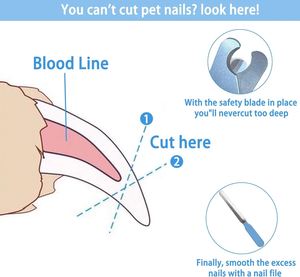 Kit de Cortauñas para Gatos, Cortauñas Profesional para Mascotas, Recortador de Uñas para Perros y Gatos Grandes y Pequeños - Product Image 3