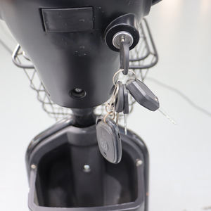 Venta al por mayor OEM de alta velocidad 350W Moto eléctrica 48V DC Hub Motor para adultos Cub Bike Touring Motocicletas - Product Image 6