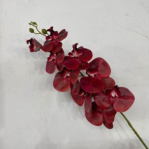 Orquídeas Phalaenopsis Artificiales de Tallo Único, Color Nude, Tacto Real, Blanco y Azul, Decoración para Bodas y San Valentín, Venta al Por Mayor - Product Image 1