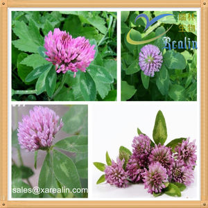 निर्माता लाल क्लोवर अर्क <span class=keywords><strong>10</strong></span>:<span class=keywords><strong>1</strong></span> लाल क्लोवर अर्क अनुपात पाउडर की आपूर्ति करता है - Product Image 6