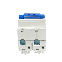 Mini interrupteur de disjoncteur 80A 125A 100A DC 500V interrupteur de batterie 2 pôles pour système photovoltaïque 100A 10ka DC MCB