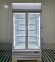 Réfrigérateur vertical de qualité supérieure à fréquence variable pour boissons et aliments, avec contrôle précis de la température