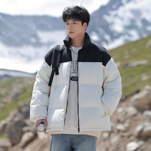 Blouson court en duvet pour homme, style minimaliste urbain - Product Image 5