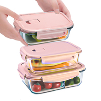 Ensemble de boîtes à lunch en verre borosilicate de haute qualité sans BPA, couvercles roses, ensembles de contenants alimentaires pour la cuisine