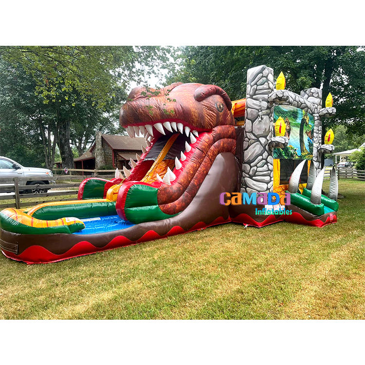 สีน้ำตาลที่มีสีสัน