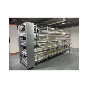 Automatic H Type Electric Cage Meat Breeding Cage Is Used For Broiler Laying Chicken Breeding